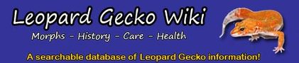 Leopardgecko Wiki